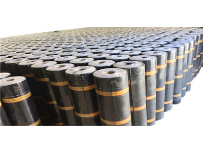 Waterproof roof use SBS membranes